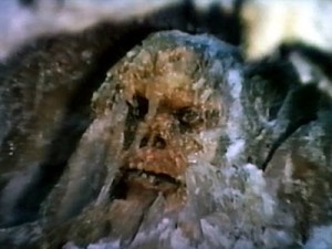 HE_FrozenMonkey