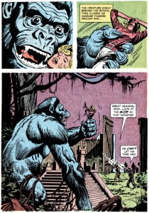 Kong-GoldKey-Pg14